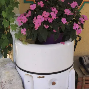 Flowers grace all ends of the Courtyard