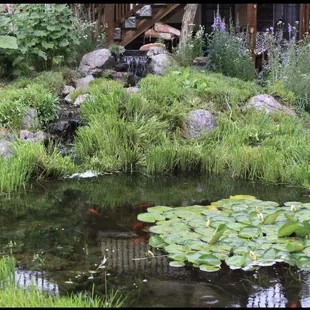The waterfalls provide a tranquil setting