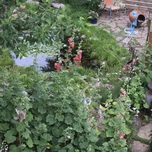 Courtyard view from the upper deck