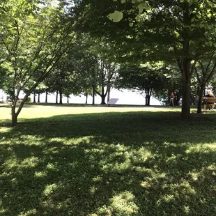 Beautiful,sea ice  view