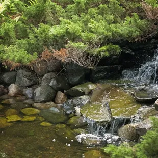 The courtyards stream