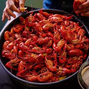 crawfish and beer