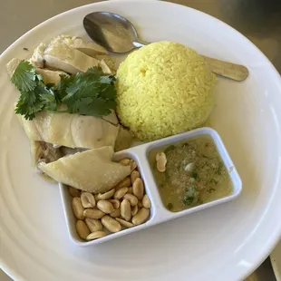 Hainan Chicken
