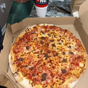 Cheese and ground beef pizza