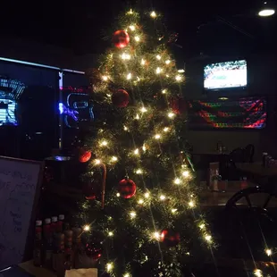 Oh Christmas Tree oh Christmas tree...