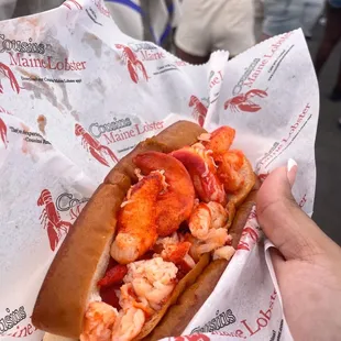 Lobster Roll