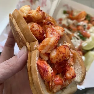  hand holding a lobster sandwich