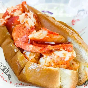 Lobster Roll