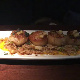 Seared Sea Scallops   Dinner