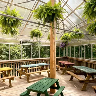 tables and benches in a greenhouse