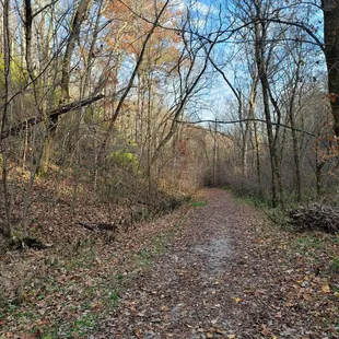 Cove Spring Trail, about 1mile round trip.