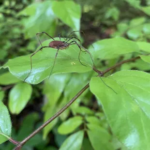 Nature all around