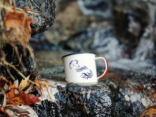 Creekside Equestrian