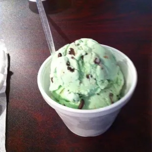 Mint chocolate chip