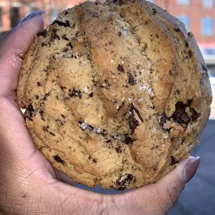 Salty Malty Chocolate Chunk Cookies