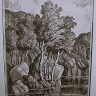 Birger Sandzen (1871-1954) lithograph, Mountain Aspens, Colorado - 1931 - Edition of 100