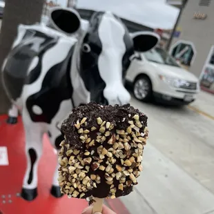 Large cow outside