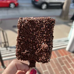 a hand holding a chocolate covered square