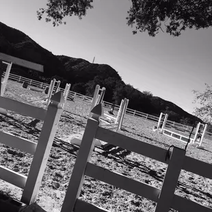 The grounds are...very very appealing. I'm bringing my family next trip