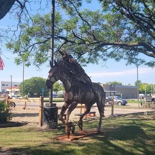 a horse in a fenced in area