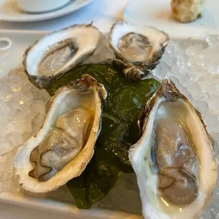 Selection of Today's Oysters*