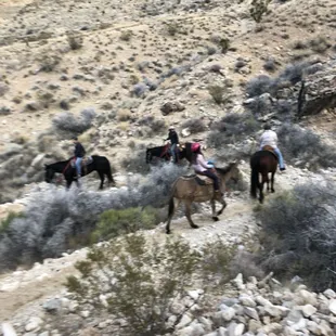 Cowboy Trail Rides in December