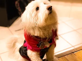 National Park Express