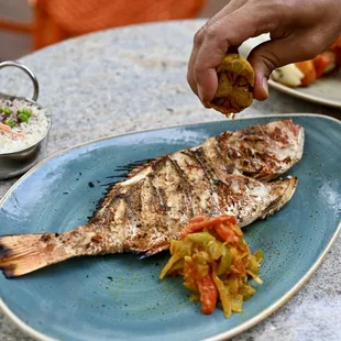 Grilled Snapper