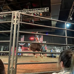 Bull riding
