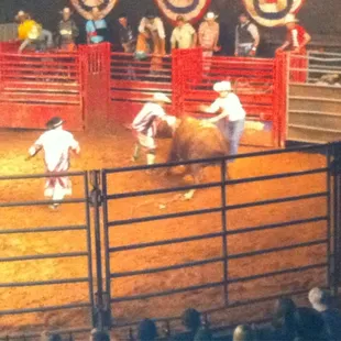 Bull ridin