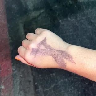 X that was supposedly "scrubbed off"