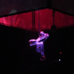 Disco ball/saddle =)