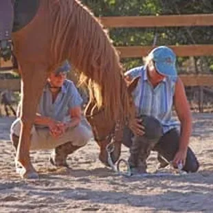 Cowgirl Up Ranch