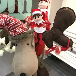 Oh, our Scout Elves made quite a spectacle when they arrived.