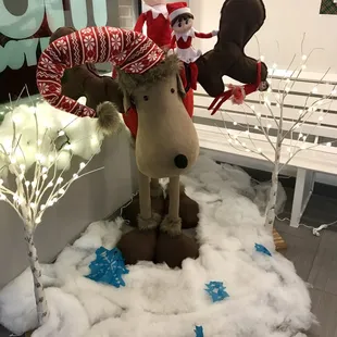 Our Elves wrecked the moose that they arrived on and crashed a sleigh full of presents and 14 Helper Elves.