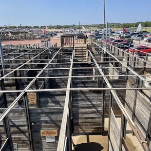 Cowtown Cattlepen Maze
