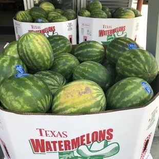 "Tastes like strawberries, On a summer evenin' ... Watermelon sugar high ..." ~ Harry Styles