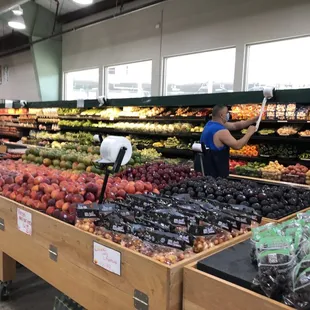 Fresh Fruits Please! (6/30/20)