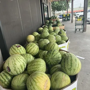 a box of watermelons