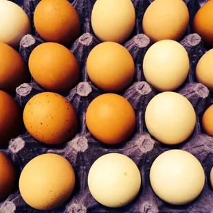 Farm fresh eggs!