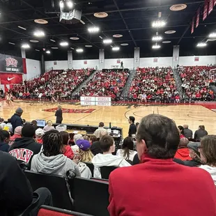 Let's go UNLV! Perfect night for Lady Rebels basketball!