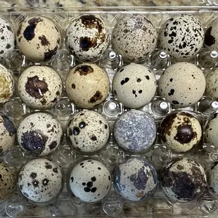 Quail eggs