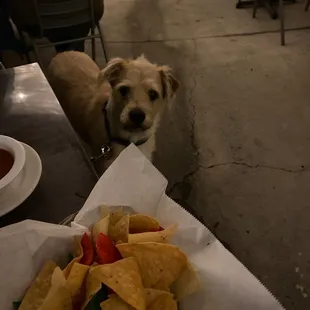 Great outdoor area!!! Thank you!!!