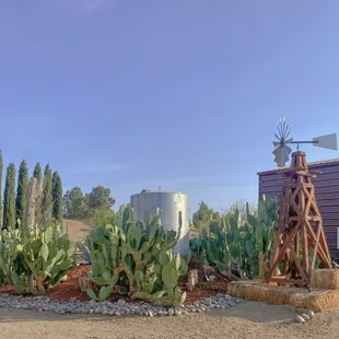 Windmills and cactus cover part of the front, where guests can park or take pictures.