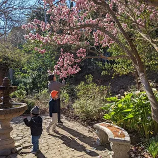 Nectar Garden is almost an arboretum with lots of plants, fountains, and animal statues.