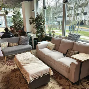 couches, tables, and a coffee table