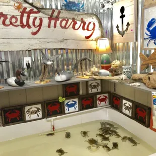 a bathtub with crabs in it