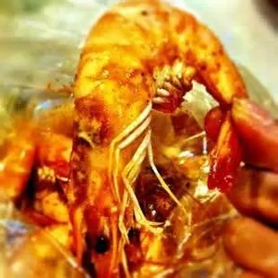 a hand holding a shrimp