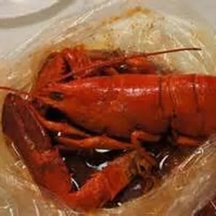 a lobster wrapped in plastic