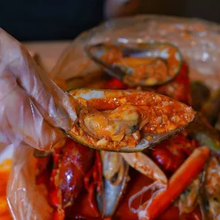 oysters and mussels, shellfish, oysters, food, mussels